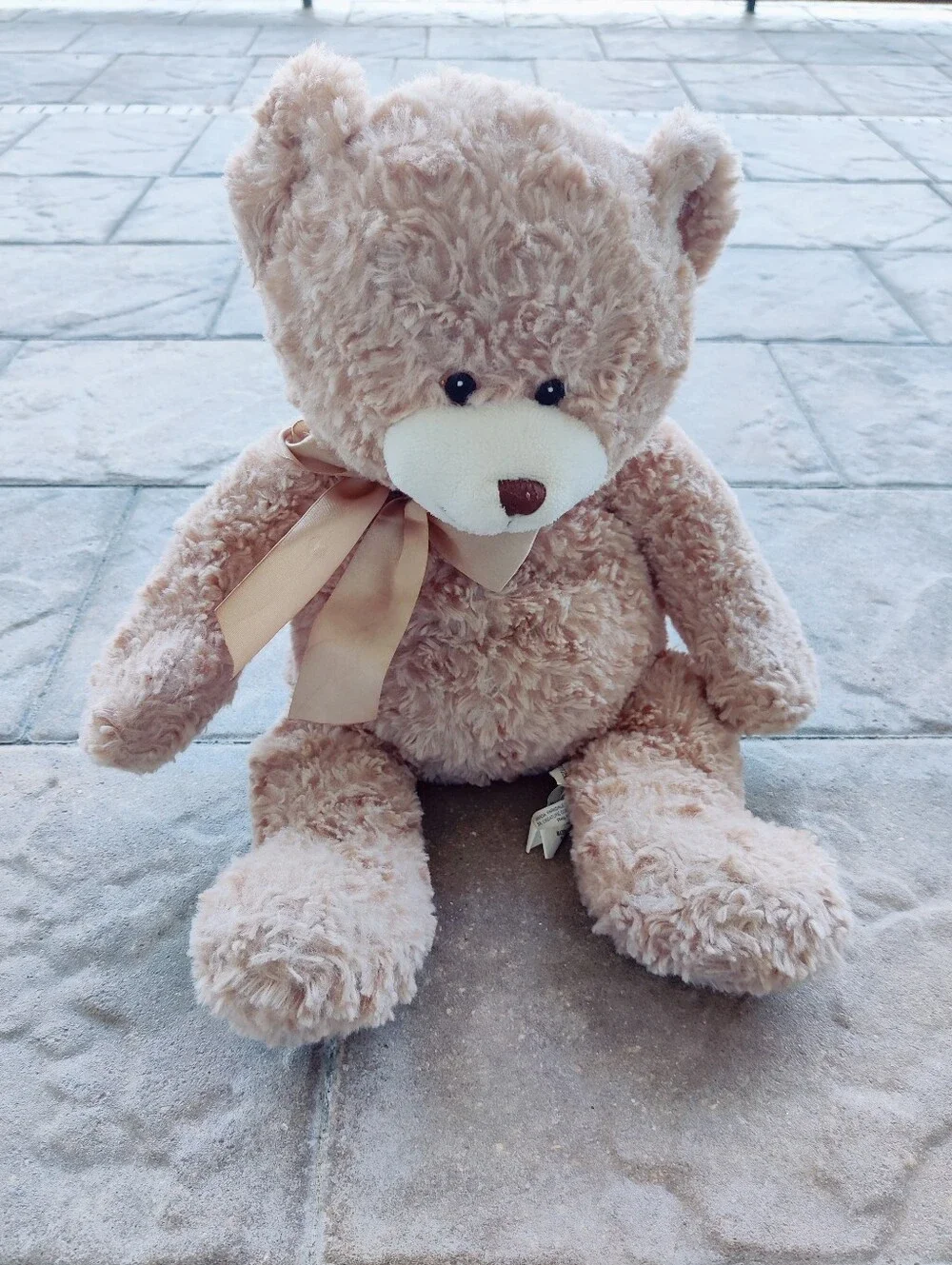 Vintage Shaggy Light Brown Bear